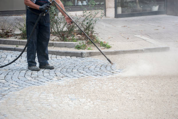 Best Driveway Pressure Washing  in Avondale, LA